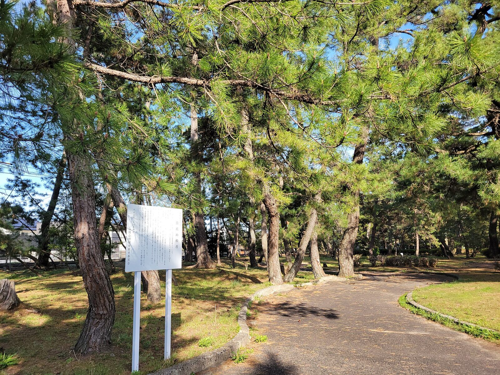 10月24日 山陽小野田市 お祝い夢花火 18:15〜21:00・一般の駐車は先着900台